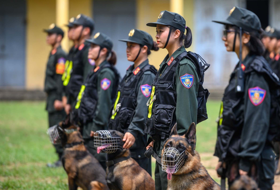 Những năm gần đây, việc sử dụng chó nghiệp vụ trong tuần tra kiểm soát trên các tuyến, địa bàn trọng điểm góp phần phát hiện, ngăn chặn các hành vi vi phạm pháp luật và triệt phá được nhiều chuyên án ma túy lớn. (Ảnh: Phạm Kiên/TTXVN)