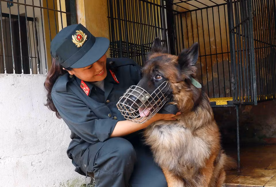 Chó nghiệp vụ luôn được huấn luyện viên chăm sóc chu đáo. (Ảnh: Phạm Kiên/TTXVN)
