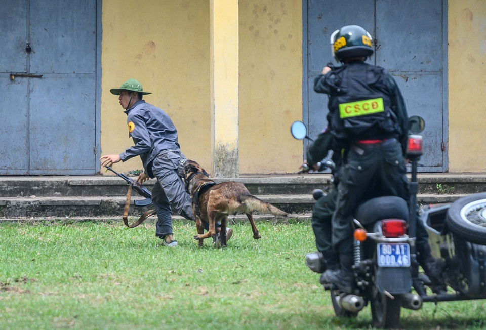 Chiến sỹ cảnh sát cơ động cùng chó nghiệp vụ tham gia diễn tập truy bắt tội phạm. (Ảnh: Phạm Kiên/TTXVN)