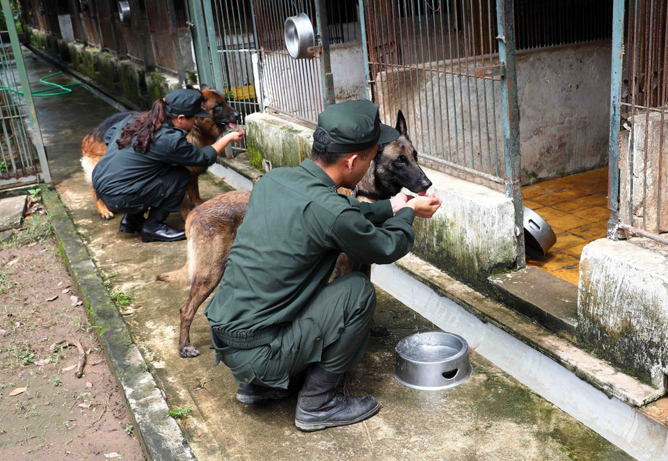 Những chú chó nghiệp vụ luôn được các cán bộ, chiến sỹ coi như những người bạn, người đồng đội của nhau. (Ảnh: Phạm Kiên/TTXVN)