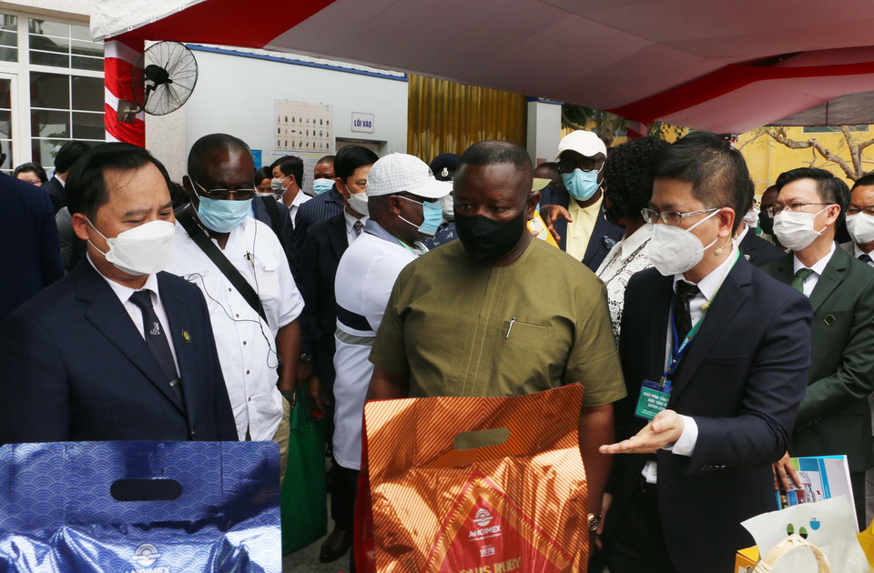  (Ảnh: Công Mạo/TTXVN)