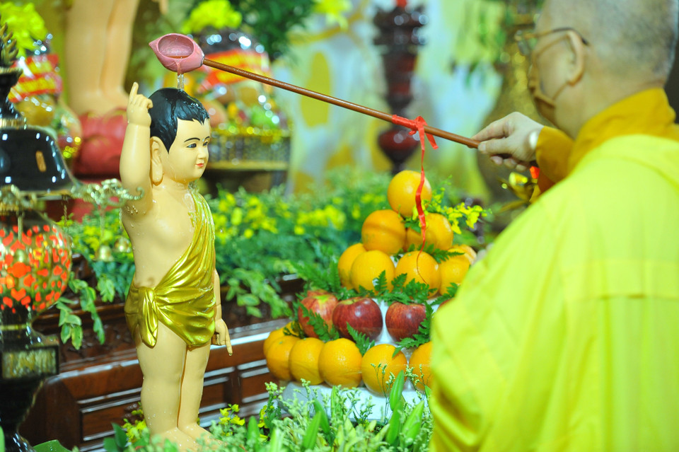 Các hòa thượng và chư tôn đức thực hiện nghi lễ tắm Phật đản sinh. (Ảnh: Minh Đức/TTXVN)