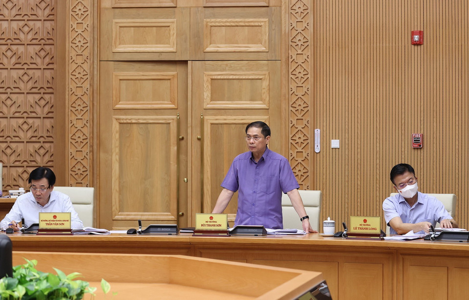  Bộ trưởng Bộ Ngoại giao Bùi Thanh Sơn phát biểu. (Ảnh: Dương Giang/TTXVN)