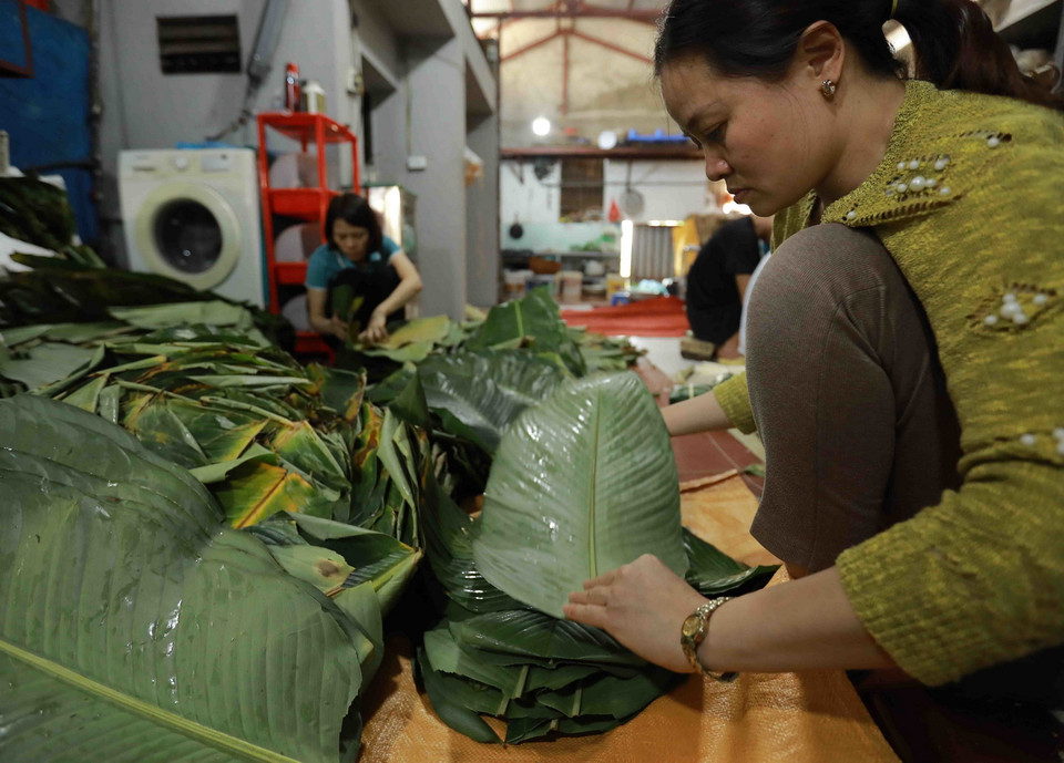 Lá dong gói bánh là loại dong nếp của làng Tràng Cát, huyện Thanh Oai, Hà Nội. (Ảnh: Vũ Sinh/TTXVN)