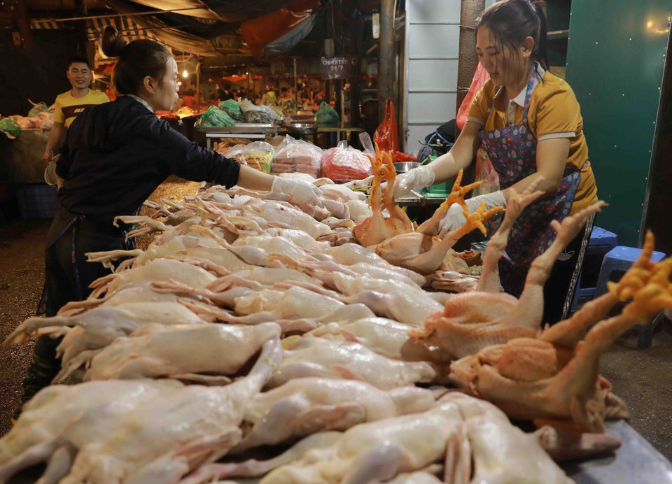 Gian hàng bán đồ gia cầm đã giết mổ tại chợ đầu mối Nam Hà Nội. (Ảnh: Vũ Sinh/TTXVN)