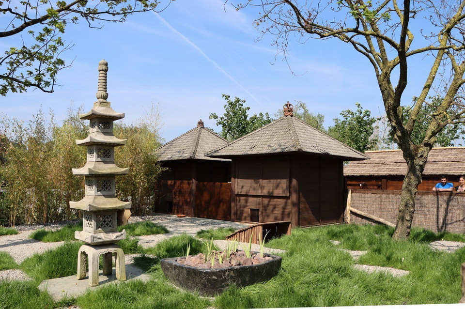 Khu vực dành cho chó bản địa Nhật. (Ảnh: Hương Giang/TTXVN)