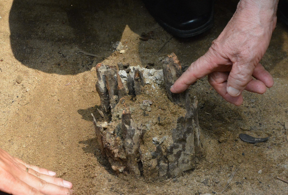 Cọc gỗ còn lại bên bờ sông Sêrêpốk. (Ảnh: Tuấn Anh/TTXVN)