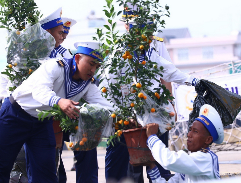 Những chậu quất cảnh được chuyển lên tàu để đưa ra nhà giàn.(Ảnh: Văn Điệp/TTXVN)
