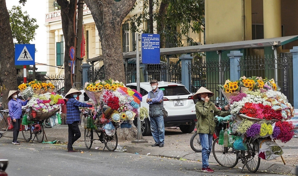 Một loạt xe bán hoa rong dừng đỗ để bán hàng dưới lòng đường phố Phan Đình Phùng (quận Ba Đình) gây cản trở giao thông. (Ảnh: Quỳnh Anh/TTXVN phát)