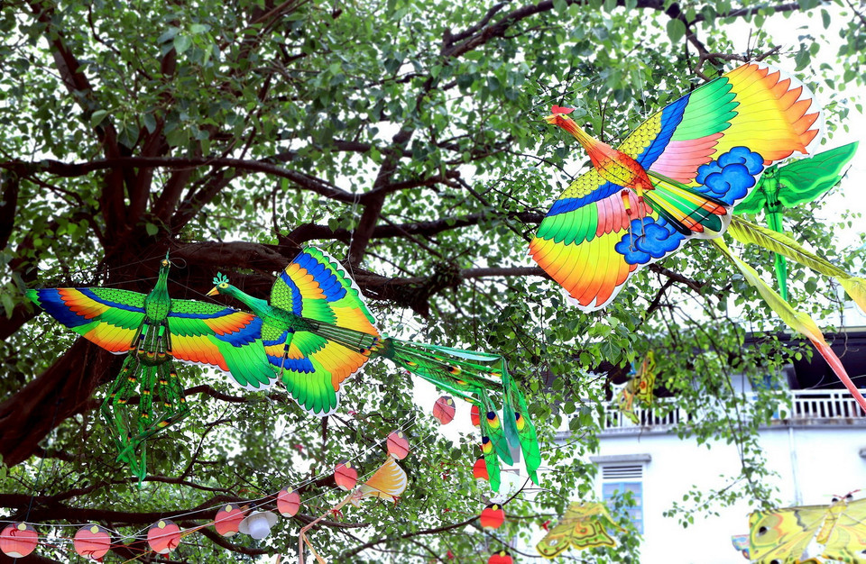 Những con diều rực rỡ đua nhau khoe sắc trong không gian trưng bày. (Ảnh: Hoàng Hùng/TTXVN)