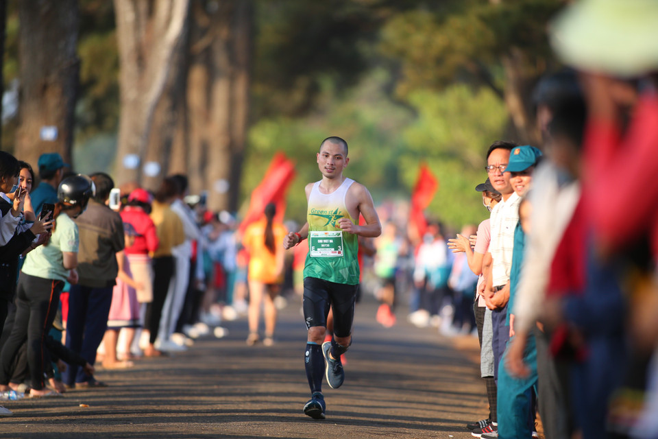 Hàng thông trăm tuổi tại xã Nghĩa Hưng (huyện Chư Păh) cũng là một điểm nhấn trên cung đường chạy. (Ảnh: Tùng Lâm/Vietnam+)