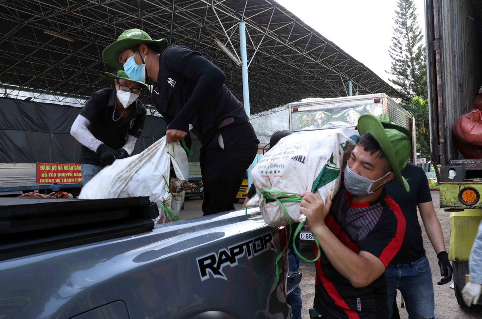 Những chuyến xe không chỉ chở gạo, rau xanh, cá, hoa quả… mà còn chứa đựng tình cảm, tình yêu thương, lời động viên của nhân dân cả nước với thành phố mang tên Bác trong cuộc chiến đấu chống COVID-19. (Ảnh: Xuân Khu/TTXVN)
