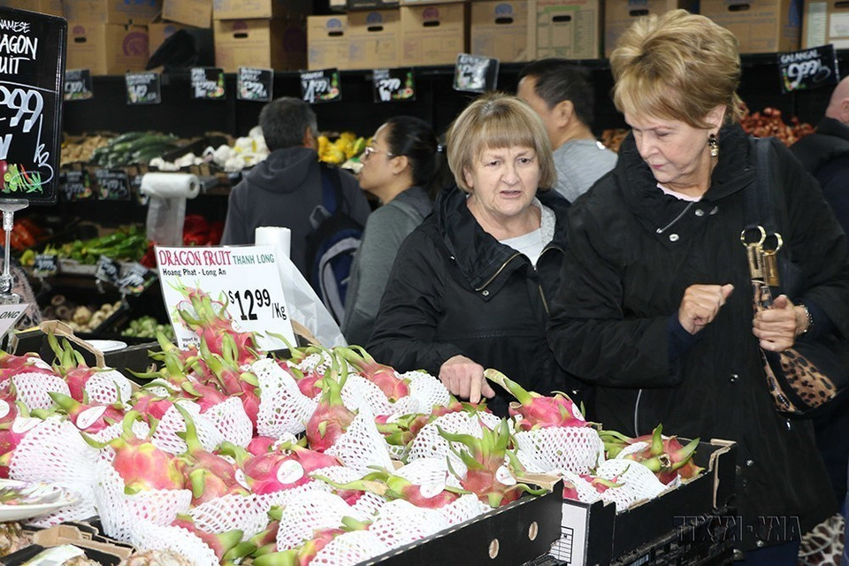 Kim ngạch thương mại hai chiều lần đầu tiên vượt ngưỡng 10 tỷ USD, đạt 12,4 tỷ USD năm 2021 và 13,4 tỷ USD trong 10 tháng đầu năm 2022. Trong ảnh: Khách hàng chọn mua thanh long Việt Nam tại chợ Footscray ở thành phố Melbourne, bang Victoria, trong Ngày thanh long Việt Nam, sau hơn 1 tuần, kể từ khi 3 tấn thanh long tươi đầu tiên được nhập khẩu vào Australia. (Ảnh: Khánh Linh/TTXVN)