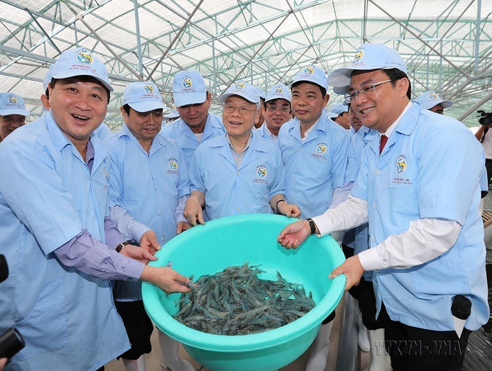 Tổng Bí thư Nguyễn Phú Trọng thăm mô hình nuôi tôm siêu thâm canh trong khu nhà kín của Công ty Cổ phần Việt-Úc ở xã Vĩnh Thịnh, huyện Hòa Bình, tỉnh Bạc Liêu. (Ảnh: Trí Dũng/TTXVN)