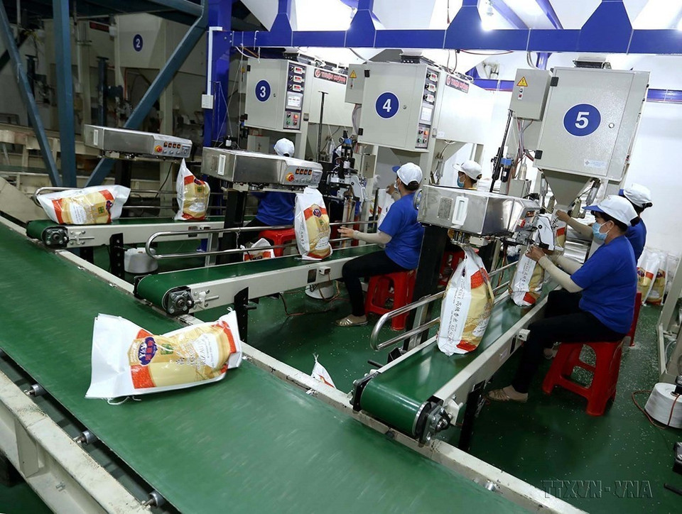 Hợp tác kinh tế, thương mại và đầu tư giữa hai nước phát triển tích cực. Trong ảnh: Công ty CP nông nghiệp công nghệ cao Trung An (thành phố Cần Thơ) xuất khẩu gạo sang nhiều thị trường lớn, trong đó có Australia. (Ảnh: Vũ Sinh/TTXVN)