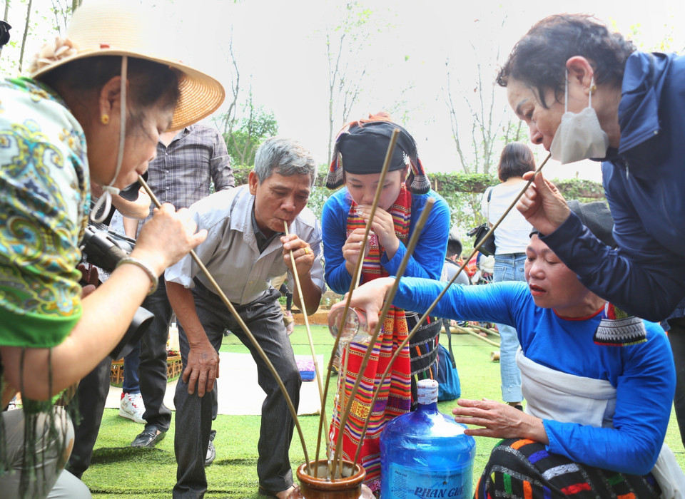 Du khách cùng uống rượu cần với đồng bào Thái. (Ảnh: Lê Thuỳ Dương/TTXVN phát)