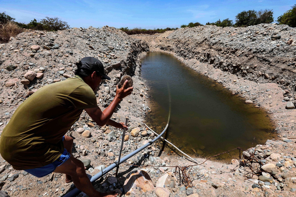 Người dân bơm nước từ những hố được đào sâu xuống đáy sông Lu, huyện Thuận Nam để lấy nước sinh hoạt và tưới tiêu do hạn hán kéo dài. (Ảnh: TTXVN)