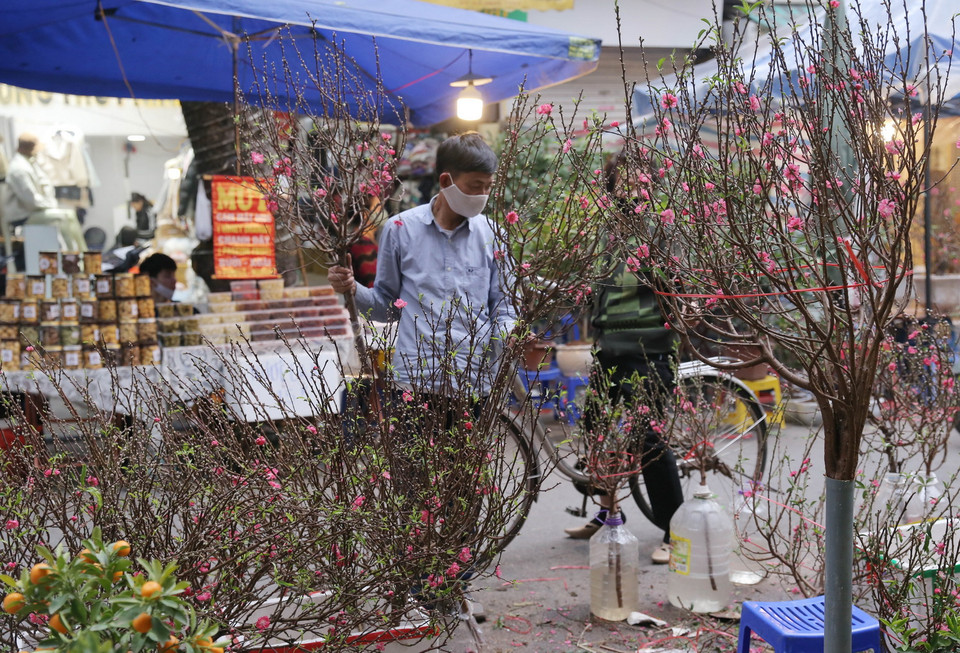 Những cành đào được bày bán tại chợ hoa Hàng Lược. (Ảnh: Hoàng Hiếu/TTXVN)