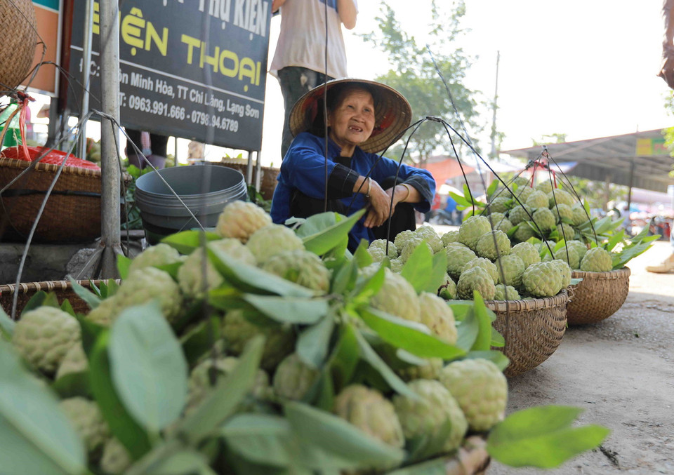 Đặc sản na 'Chi Lăng' bán ở chợ thị trấn Chi Lăng, huyện Chi Lăng. (Ảnh: Vũ Sinh/TTXVN)