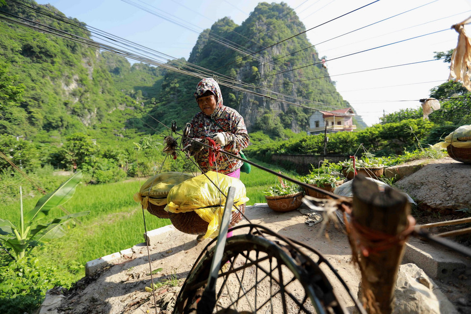 Người dân ở thị trấn Chi Lăng vận chuyển na bằng dòng dọc tự chế giúp giảm sức lao động. (Ảnh: Vũ Sinh/TTXVN)