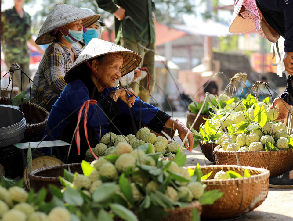 Đặc sản na 'Chi Lăng' bày bán ở chợ thị trấn Chi Lăng. (Ảnh: Vũ Sinh/TTXVN)