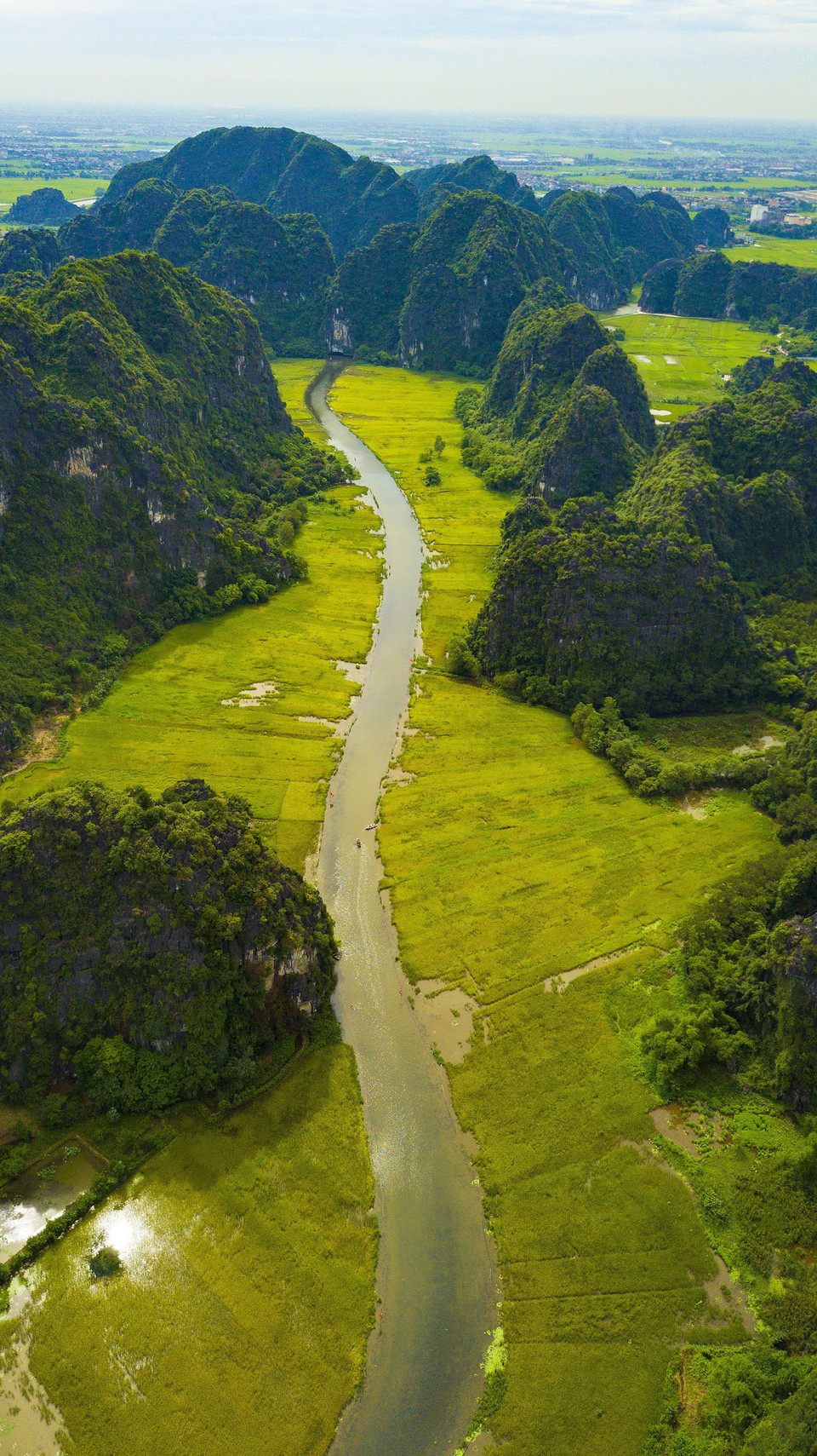 Tam Cốc mùa lúa chín. (Ảnh: Minh Đức/TTXVN)