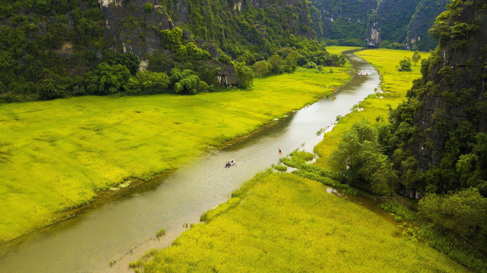 Tam Cốc mùa lúa chín. (Ảnh: Minh Đức/TTXVN)