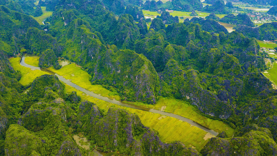 Tam Cốc mùa lúa chín. (Ảnh: Minh Đức/TTXVN)
