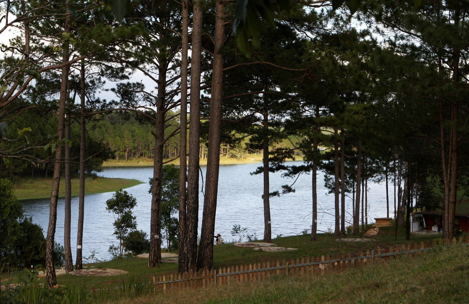 Rộng hơn 350ha, nằm giữa rừng thông xanh cùng thảm thực vật phong phú, Hồ Tuyền Lâm là điểm đến của nhiều du khách gần xa. (Ảnh: Phạm Hậu/TTXVN)