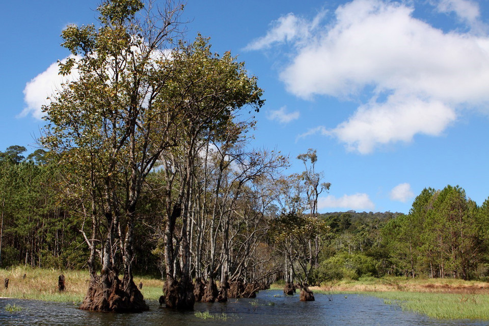 Năm 1998, Hồ Tuyền Lâm đã được Bộ Văn hóa Thông tin (nay là Bộ Văn hóa, Thể thao và Du lịch) ra quyết định công nhận là Di tích lịch sử -Văn hóa cấp quốc gia. (Ảnh: Phạm Hậu/TTXVN)