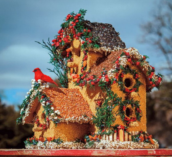 Anne Schmauss đã tập hợp được một bộ sưu tập ảnh những ngôi nhà dành cho chim được thiết kế cầu kỳ nhất trên thế giới. (Nguồn: Birdhouses of the World/Caters News)