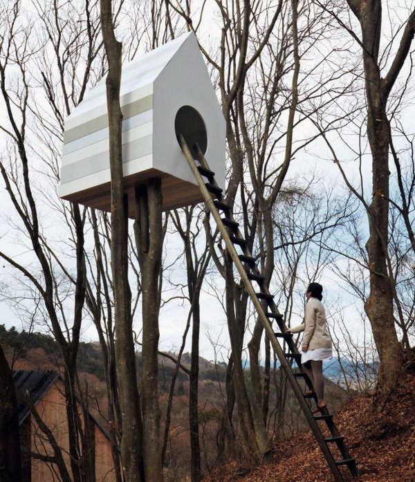 Ngôi nhà này có đôi chút khác biệt, vì nó mang hình dáng của nhà chim nhưng lại được thiết kế dành cho người. (Nguồn: Birdhouses of the World/Caters News) 