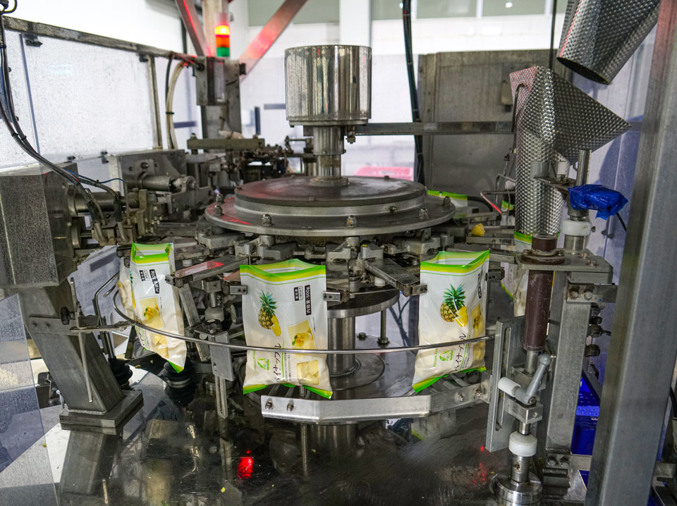 Những miếng dứa đảm bảo chất lượng sẽ được đưa tới máy đóng gói. (Ảnh: Lâm Phan/Vietnam+)