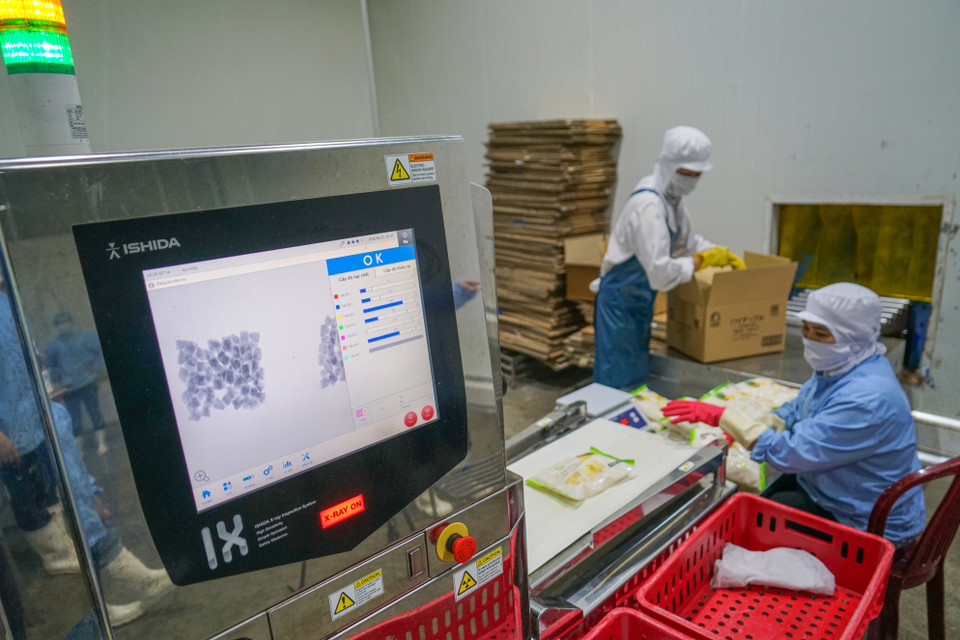 Những gói dứa trước khi xuất xưởng được kiểm tra kỹ càng bằng hệ thống kiểm tra bằng tia X. (Ảnh: Lâm Phan/Vietnam+)