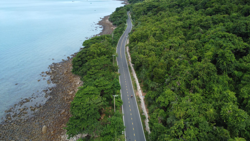 Đi dọc tuyến đường thêm khoảng 5km, du khách sẽ đi vào vùng rìa của Vườn Quốc gia Côn Đảo và được tận mắt ngắm nhìn những cánh rừng nguyên sinh với nhiều loại cây gỗ quý. (Ảnh: Hoàng Đạt/Vietnam+)