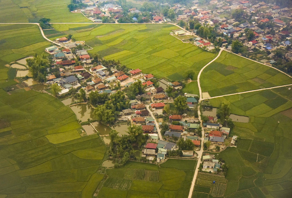 Bản làng của người dân giữa cánh đồng lúa. (Ảnh: Xuân Tư/TTXVN)