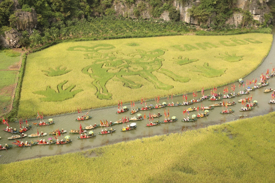 Bức tranh bằng lúa "Mục đồng thổi sáo" nổi bật giữa không gian thiên nhiên hùng vĩ. (Ảnh: Đức Phương/TTXVN)