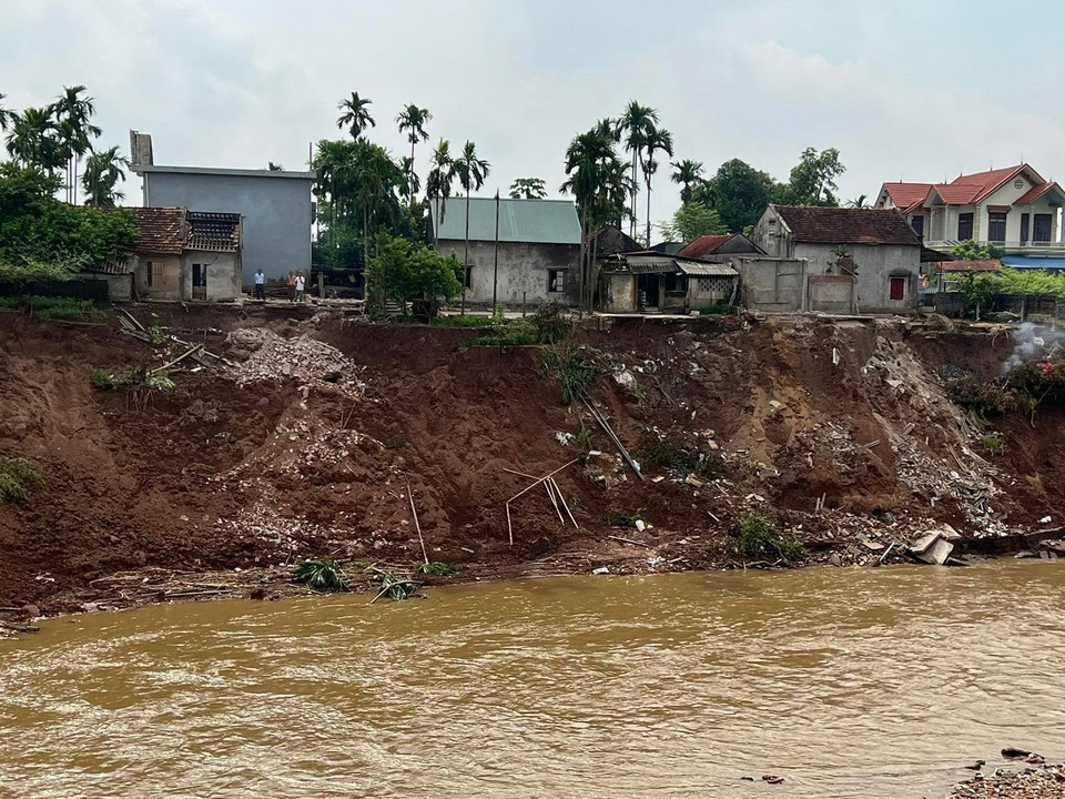 Mưa lũ đã làm hàng trăm mét đất của người dân bị sạt xuống sông, uy hiếp nhiều ngôi nhà của người dân tại xã Lương Nha, huyện Thanh Sơn. (Ảnh: Tạ Toàn/TTXVN)