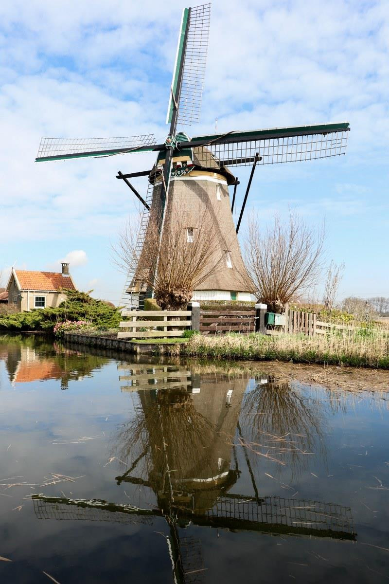 Cối xay gió lâu đời nhất còn tồn tại ở Hà Lan là Zeddam nằm ở tỉnh Gelderland. Cối xay này được xây dựng vào năm 1451. Trong khi đó Molen de Noord hiện là chiếc cối xay kiểu cổ cao nhất thế giới. Cối xay nằm ở Schiedam này cao 33,3 mét. Trong ảnh là cối xay gió của làng Zevenhuizen. (Ảnh: Hoàng Long)