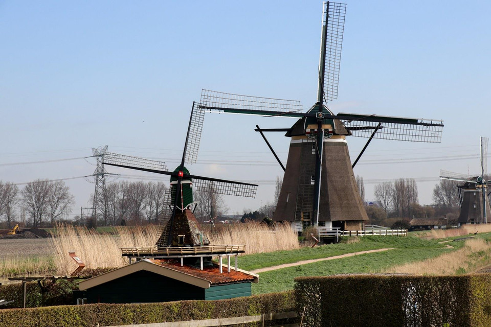 Cối xay gió là một trong những hình ảnh quen thuộc ở Hà Lan, là biểu tượng của cuộc chiến trị thủy lâu dài nằm bảo vệ đất đai chống lại nước lũ và tình trạng nước biển dâng cao do biến đổi khí hậu toàn cầu. (Ảnh: Hoàng Long)