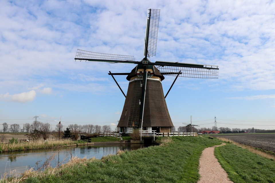 Cối xay đóng vai trò gì ở Hà Lan? Năng lượng do gió và nước chảy tạo ra được sử dụng để chế biến nhiều loại nguyên liệu thô cần được giã, băm, chặt, nghiền, trộn... thành hàng hóa có giá trị thương mại. Ví dụ cối xay Zaanstreek rất nổi tiếng, dù người ta chỉ dùng nó để làm giấy. Nguyên nhân do bản Tuyên ngôn độc lập của nước Mỹ đã được in trên các tấm giấy sản xuất từ đây. (Ảnh: Hoàng Long)