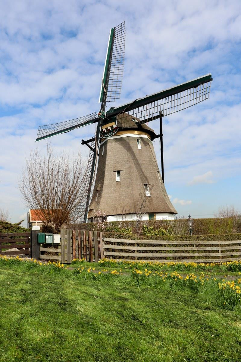 4 cánh quạt ở vị trí như dấu + có nghĩa cối xay đang nghỉ tạm thời. Nếu 4 cánh quạt có hình chữ X, cối xay đang trong trạng thái nghỉ lâu dài. Toàn bộ 4 cối xay gió ở Zevenhuizen vẫn có khả năng bơm nước bình thường. Jos cho biết sau mỗi 2 tuần cối xay lại được vận hành để kiểm tra tình trạng hoạt động, hoặc khi có tình huống yêu cầu cối xay phải hoạt động. Ông hiện sống một mình ở một cối xay. (Ảnh: Hoàng Long)
