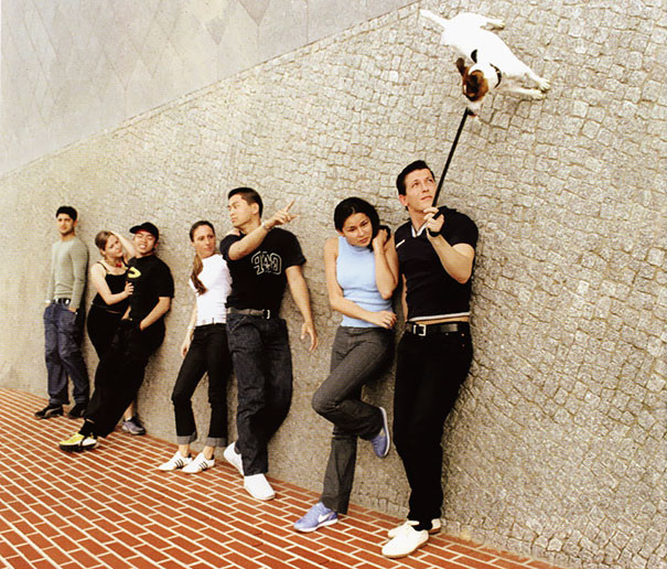 Chú chó biết bay (Nguồn: Bored Panda)