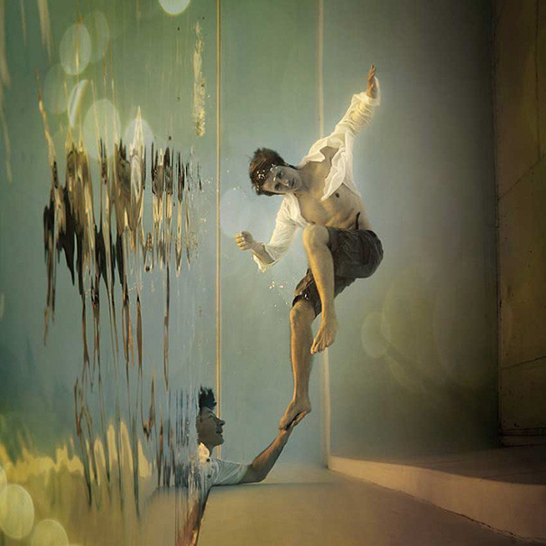 (Nguồn: Bored Panda)