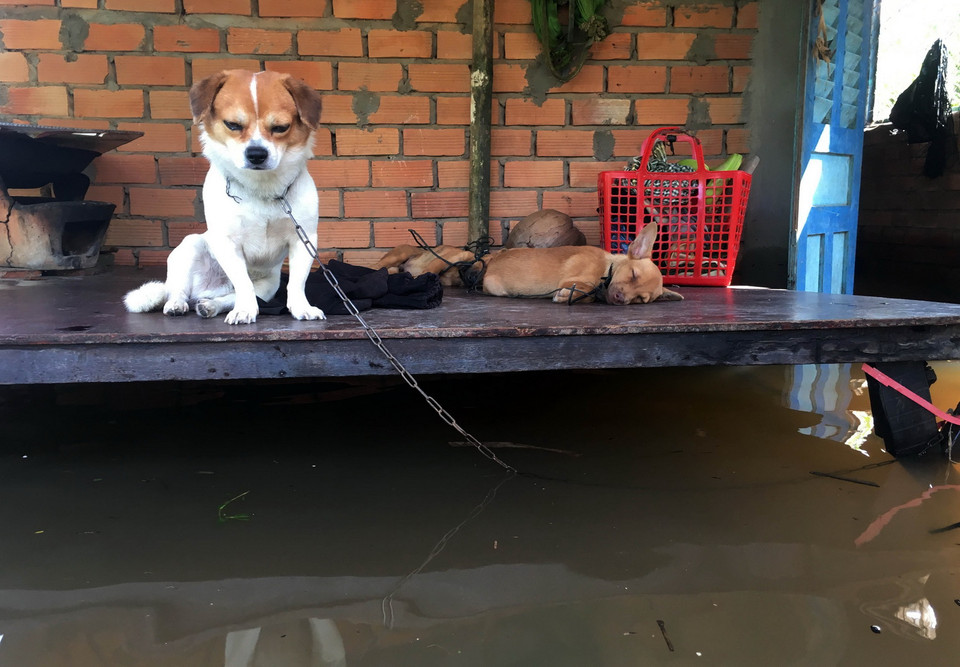 Nhà dân ở khu vực 3, phường Cái Khế bị ngập nặng. (Ảnh: Thanh Liêm/TTXVN)