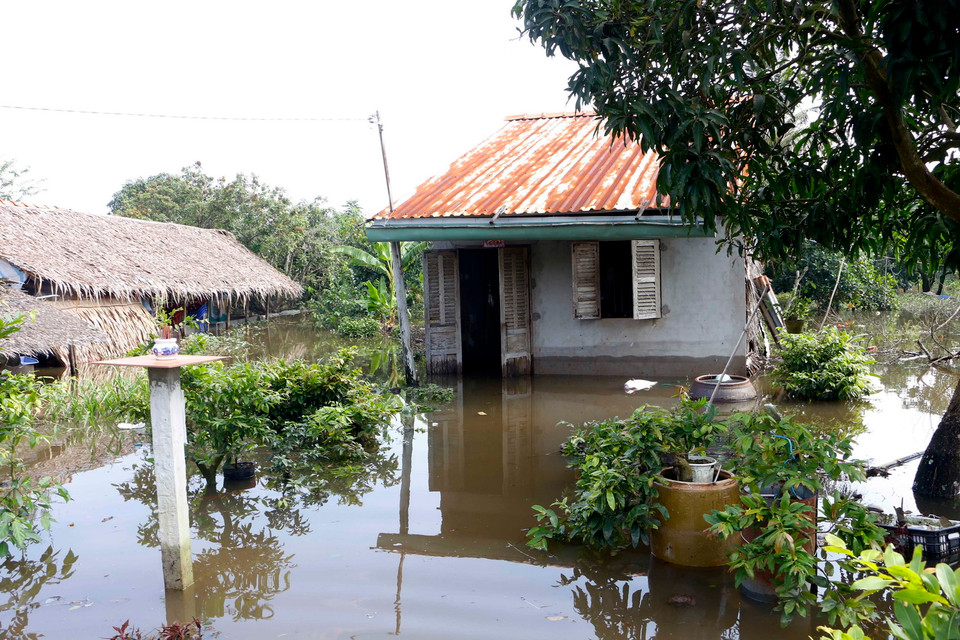 Triều cường gây ngập nặng tại Cồn Khương. (Ảnh: Thanh Liêm/TTXVN)