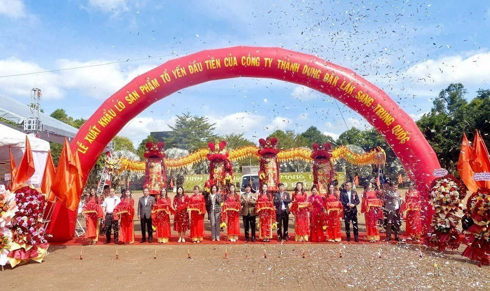 Lễ xuất khẩu lô tổ yến đầu tiên của Công ty Cổ phần xuất nhập khẩu Yến sào Thành Dung–Đắk Lắk sang thị trường Trung Quốc trong những ngày đầu năm 2024. (Ảnh: TTXVN phát)