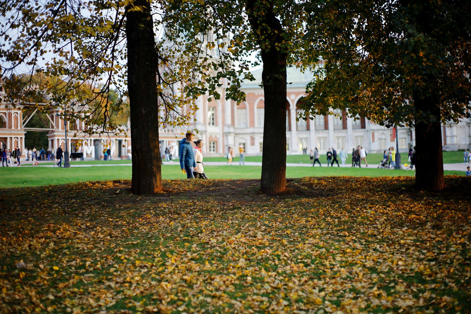  Khoảng thời gian Mùa hè rớt năm nay là ngắn nhất trong nhiều thập niên gần đây ở nước Nga. (Ảnh: Hiếu Trần/Vietnam+)