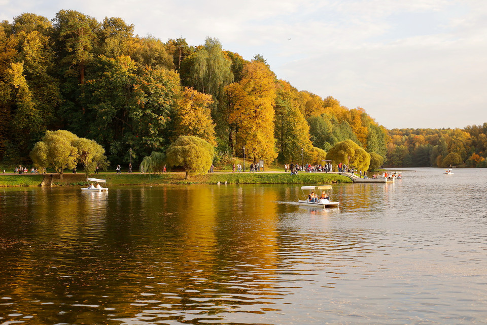  Mùa Hè rớt với những cánh rừng nhuộm màu vàng óng ả làm nên nét đẹp đặc trưng của thiên nhiên nước Nga. (Ảnh: Hiếu Trần/Vietnam+)