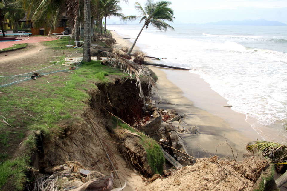 (Ảnh: Trịnh Bang Nhiệm/TTXVN)